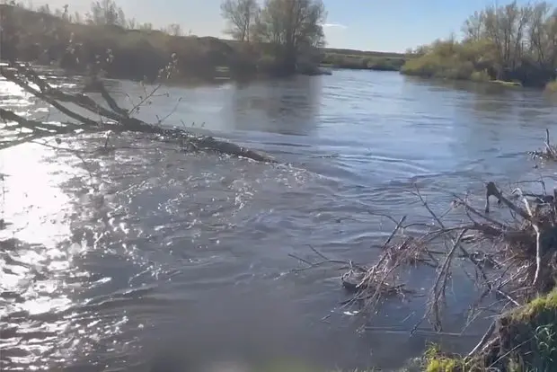 Вводная картинка