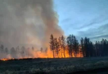 Владислав Ховалыг защищает леса Тувы и Красноярского края от пожаров vladislav hovalyg zashhishhaet lesa tuvy i krasnoyarskogo kraya ot pozharov-gazetarf-ru-0