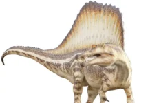Солевые железы в черепе Spinosaurus – удивительное открытие solevye zhelezy v cherepe udivitelnoe otkrytie-gazetarf-ru-0