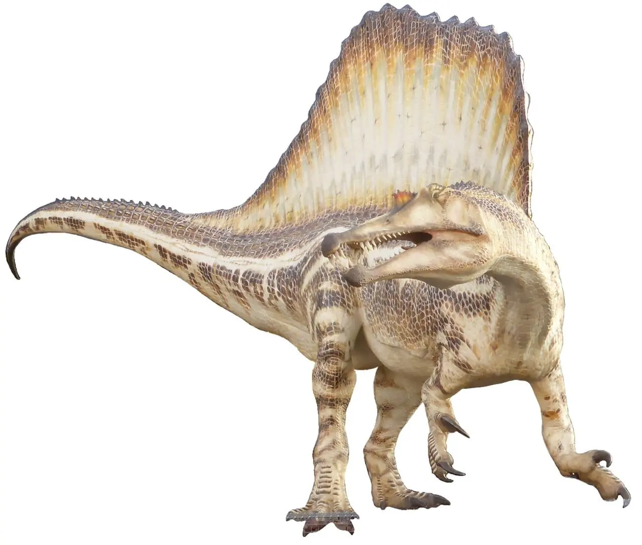 Солевые железы в черепе Spinosaurus – удивительное открытие-0