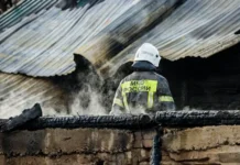 Светлая новость о Петербурженке и событиях у Финляндского вокзала svetlaya novost o peterburzhenke i sobytiyah u finlyandskogo vokzala-gazetarf-ru-0