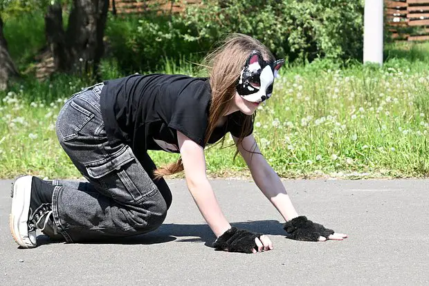Вводная картинка