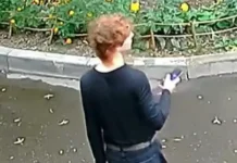 Пенсионерка в Москве лишилась миллиона рублей из-за мошенников pensionerka v moskve lishilas milliona rublej izza moshennikov-gazetarf-ru-0