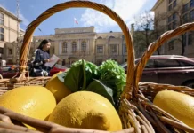 zelenoe finansirovanie v rossii lgotnye riskvesa i pervye itogi-gazetarf-ru-0