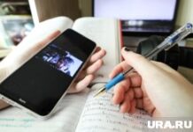 Клипарт на тему дистанционного обучения. Курган