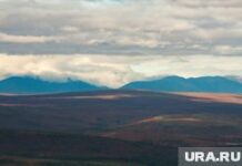 Досрочное голосование оленеводов. ЯНАО. Ямал. Салехард