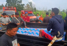 Трагический инцидент с шахтером у реки в Индонезии 3d3398ed-f3fc-4566-ae6f-e3cb6d50f50f-676da2d1