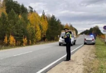 Трагическое происшествие на дороге под Нижним Тагилом: поиск свидетелей продолжается c1f2a95b-bc90-418a-b417-11ba7efd329a-674c54b9