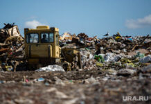 Экологическая ситуация в Екатеринбурге: время для решительных действий ea24cca1-b2f6-4788-a28b-63a25a7a582f-674f2d71