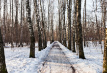 Первый снег в столице: прогноз погоды на ближайшие дни a9e18067-b79a-4585-b9f1-8b2257b582e3-677be9f2