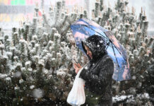 Комфортная зимняя погода порадует москвичей 17 декабря 027d6719-7fe0-4569-b21b-8e240b76a9fb-67b453fe