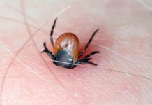 2c0ec39e-2eea-4763-8182-9a296b9ac933-67ab82eb