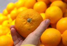 Полезные мандарины: как правильно наслаждаться любимым новогодним фруктом 3c756ad5-48ac-4b30-8c7c-d6eb312b6bfe-67c1b8b6