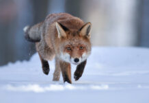 Трагический случай в Волгоградской области: важность своевременной медицинской помощи 44c400f4-6cd7-4268-ae00-82881b150c69-67ae1d09