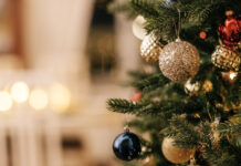 Практичные советы по выбору идеальной новогодней ёлки 481f1f6a-ff67-4b6f-9166-77bfb8d918da-67aa8636