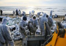 В Краснодарском крае активно ведутся работы по очистке побережья от нефтепродуктов 4ee5f4f2-fbc4-40c0-a7e5-a5ca571ec722-67bca112