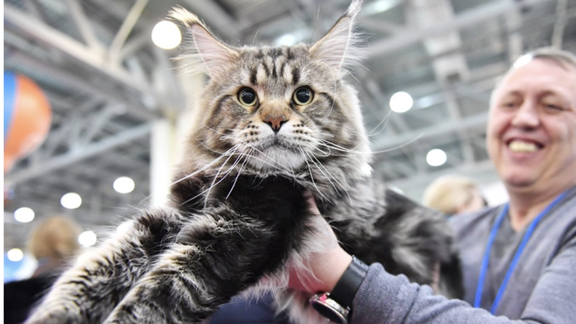 Ветеринар Шеляков посоветовал обращаться только к проверенным заводчикам