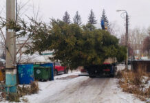 Новогодняя ель из частного двора украсила городской сквер в Уфе 5d682582-87f7-4197-ab34-322e2310eb90-67a4b196