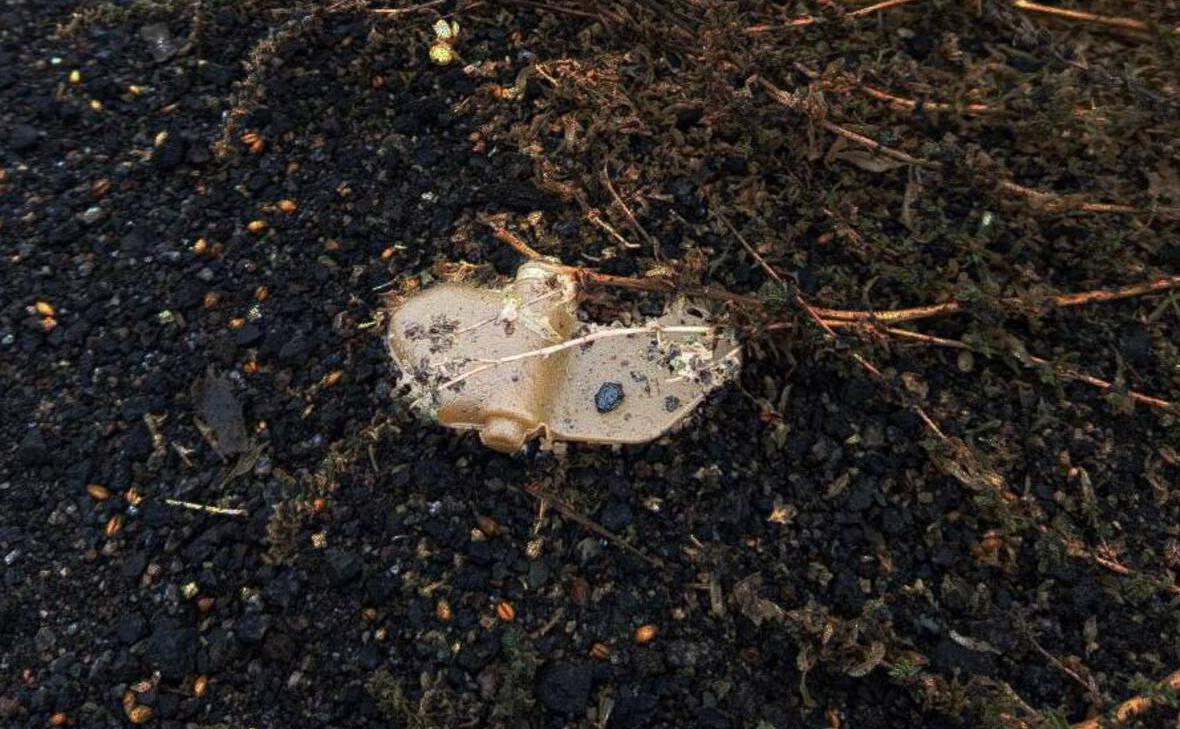 Противопехотная мина лепесток в Белгородской области (vvgladkov / Telegram)