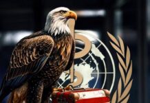 Значимый поворот: США намерены пересмотреть участие в международных организациях здравоохранения 8dc2edcf-7d97-49a6-87b1-8d4ded2bd84c-67c1fb72