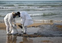 Эколог объяснил перспективы восстановления пляжей Кубани после разлива мазута d21b0089-0502-4c54-a0c3-480763a7dae0-67be1509