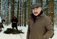 Российские ученые раскрыли причины интереса к остросюжетным криминальным шоу ecf928f4-e586-403c-92d2-3149dcf97f46-67bcf0d0