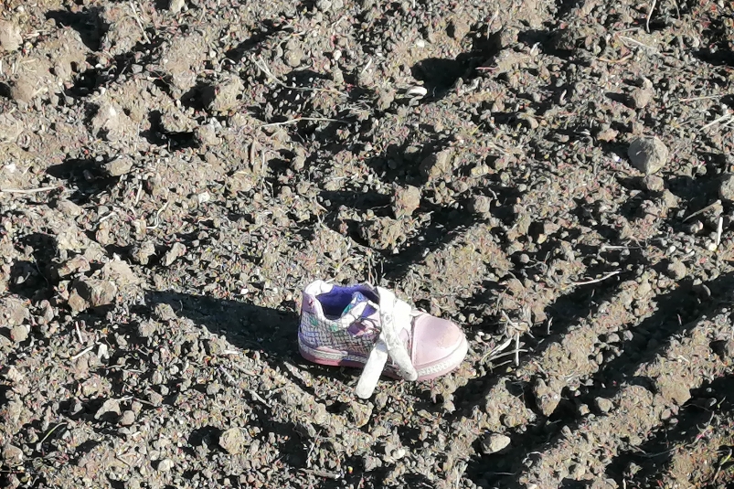 Фото: primamedia.ru