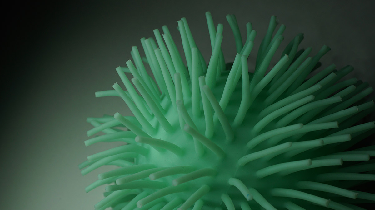 В Китае обнаружили кластерную вспышку вируса оспы обезьян