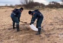 Самоотверженные волонтеры помогают очистить пляжи Кубани от последствий разлива мазута 136ed071-22a7-4975-a751-d7a42581df50-67db7919