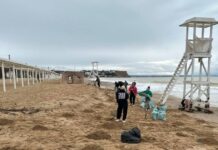 Экологическая ситуация на крымском побережье: оперативные действия по устранению загрязнений 2435e1d7-4f5c-44ab-9413-3f60e22acd12-67ccb052