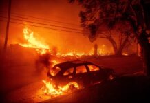 Беспрецедентная катастрофа: Лос-Анджелес охвачен огненным кошмаром 29ee1037-01a9-4a59-9f32-e70634b2599c-67d36187