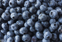 Супермаркеты ЕС предупреждают о возможных рисках употребления голубики FreshBlueberryBackgroundTextureBlueberryBerriesCloseUp
