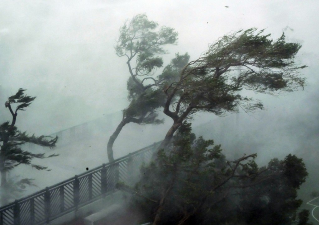 «Самый большой удар»: в США испугались угрозы миллионам людей