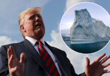 Интересные нюансы в истории покупки Гренландии US President Donald Trump speaks to reporters before boarding Air Force One to return to Washington from Morristown Municipal Airport in Morristown New Jersey