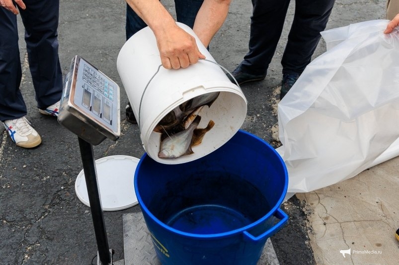 Фото: primamedia.ru