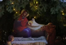 Православные храмы Екатеринбурга украсили живыми хвойными деревьями к Рождеству 691e78e3-e9a1-4416-8efb-921e6596f2eb-67cec942