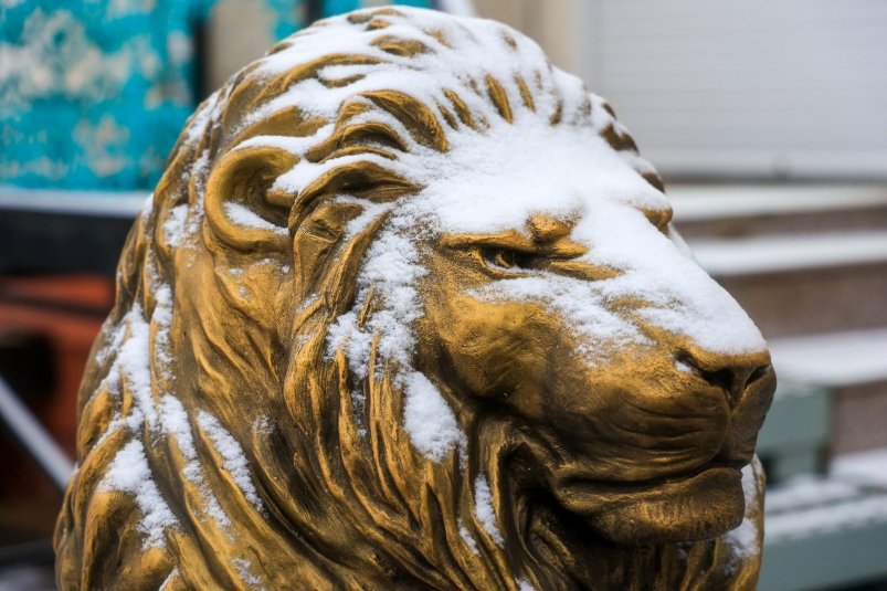 Фото: primamedia.ru