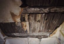 Жители Воронежа получат новую крышу после вмешательства Госжилинспекции 88ec59d5-21a2-4c5f-b02d-5b5fcf3e4588-67d9b5d3