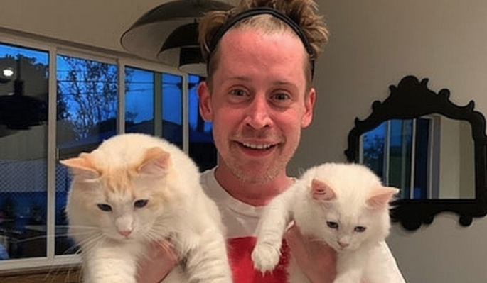 Маколей Калкин отмечает 44-летие: вспоминаем взлеты и падения звезды фильма "Один дома"