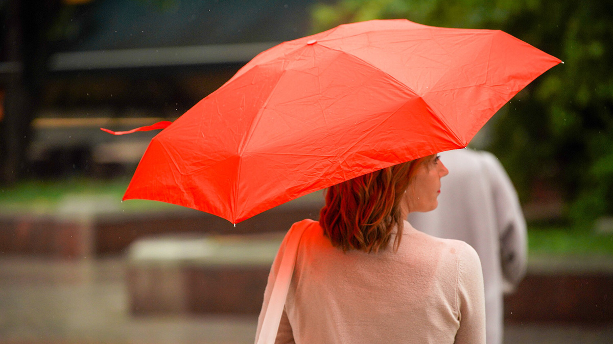 Народный календарь. Как 15 января узнать, сколько дождливых месяцев будет в году