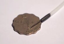 Прорыв в медицине инновационный микроробот для лечения заболеваний c82e4fa0-c50c-4e03-a097-b082fbd5bfa5-67e56a4b