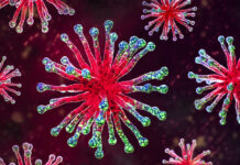 Ведущий вирусолог об особенностях текущего сезона гриппа cc9fdcb0-2d49-48a8-9ab7-a5c8324752d2-67e1695d