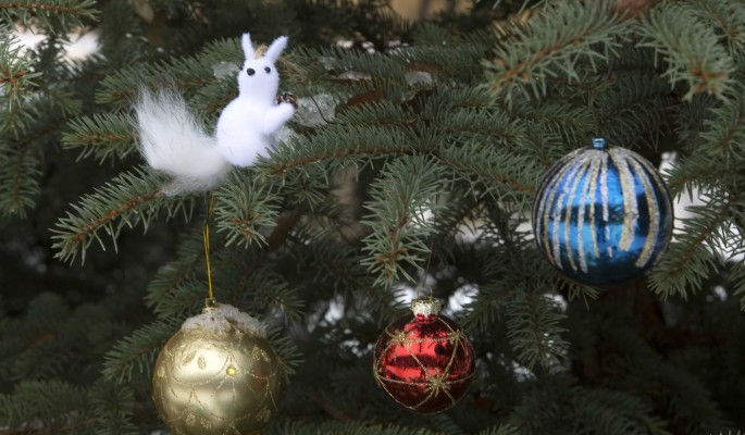 В чем встречать Новый год? 