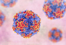 Метапневмовирус поддается успешному лечению у взрослых пациентов d9b6f92a-ae54-41fb-8faf-3afbdb33c295-67d5fad1