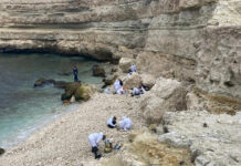 Масштабная экологическая миссия на побережье Черного моря eaeefe68-a6ce-44ff-b8f9-1df30bf700ac-67ed602b