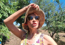 Загородная резиденция Эвелины Бледанс пострадала от стихии ebca825c-fd58-45aa-8999-108592757bcf-67d952a1