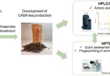 Инновационный подход к изучению аминокислот в чае ГАБА 1b074a27-a8e7-431b-b397-23c4d010d45c-680bb521