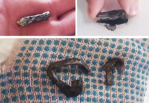 Расследование повреждений самолета AZAL продолжается в конструктивном диалоге 3cf8e4ee-bcda-47cd-bfd4-c56d05302341-67f5b259