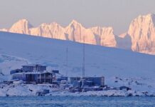 Важное научное открытие поможет сохранить экологию Антарктиды 3fd0310e-04e2-4895-ae4e-608e31d6ef93-67fa005a