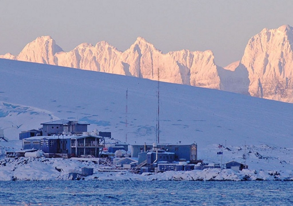 Ученые сделали мрачное открытие из-за одной находки в Антарктиде